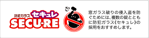ZL